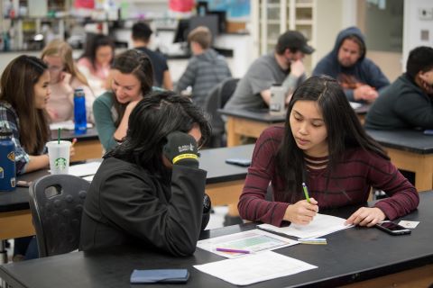 students studying in a lab setting